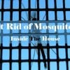 How-to-get-rid-of-mosquitoes-inside-the-house