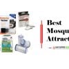 Best-Mosquito-Attractant