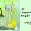 Homemade-Mosquito-Repellent