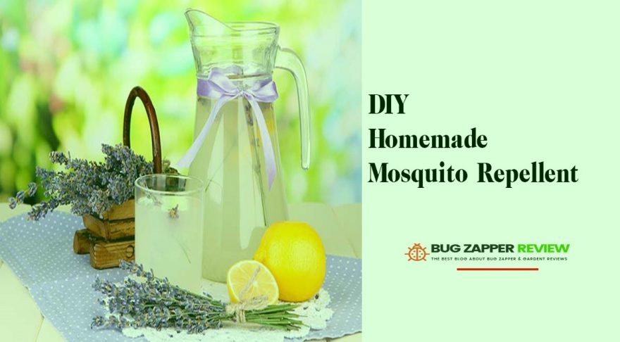 DIY Homemade Mosquito Repellent