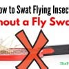 How to Swat Flying Insects Without a Fly Swatter