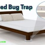 Best Bed Bug Trap Reviews