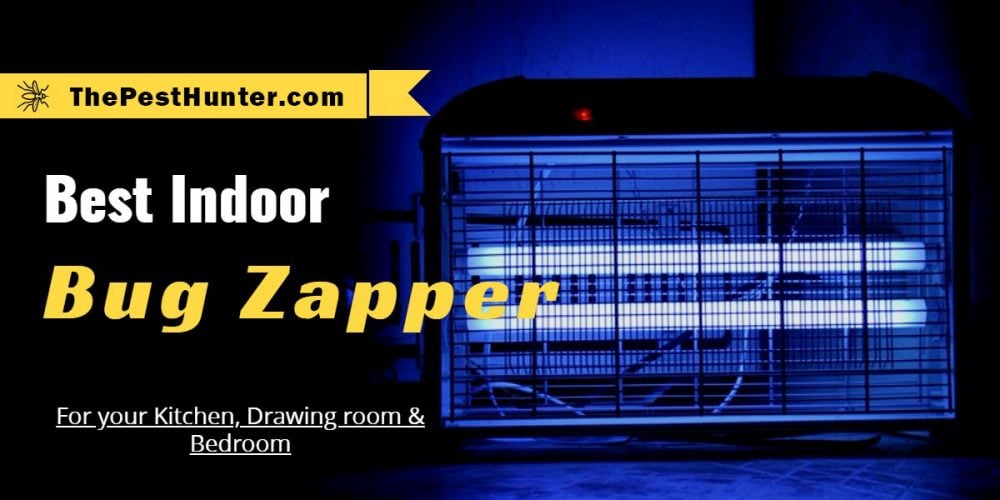 best bug zapper