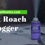 Best Roach Fogger Reviews