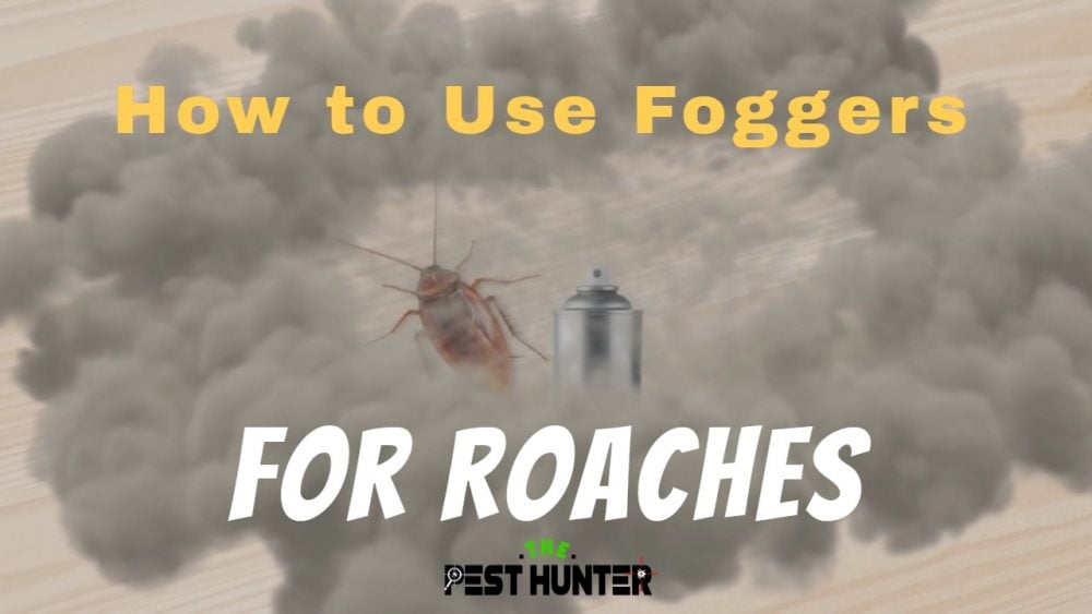 Goodbye Roaches Effective ways to Use a Roach Fogger The Pest Hunter