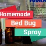 Homemade bed bug spray