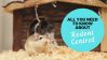 All You Need to Know about Rodent Control