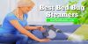 5 Best Bed Bug Steamers For 2021 & With Ultimate Buying Guide
