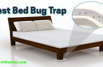 Best Bed Bug Traps For 2021 & With Ultimate Buying Guide