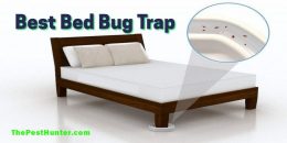 Best Bed Bug Traps For 2021 & With Ultimate Buying Guide