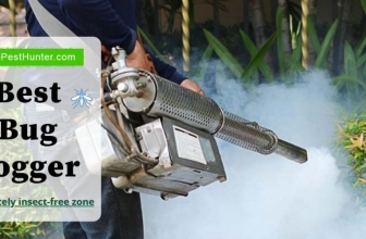 Best Bug Bomb Fogger For 2021 & With Complete Buying Guide
