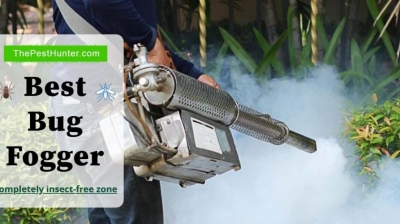 Best Bug Bomb Fogger For 2021 & With Complete Buying Guide