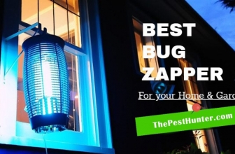 The Best Bug Zappers To Keep Your Home Pest-Free