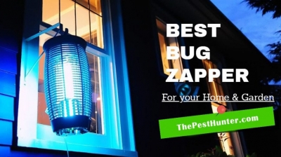 The Best Bug Zappers To Keep Your Home Pest-Free