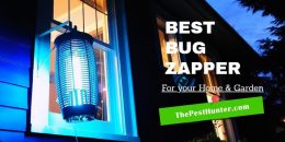 The Best Bug Zappers To Keep Your Home Pest-Free