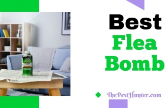 Best Flea Bombs in 2021 & Which Ones Actually Solved Your Problem Fast?