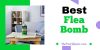 Best Flea Bombs in 2021 & Which Ones Actually Solved Your Problem Fast?