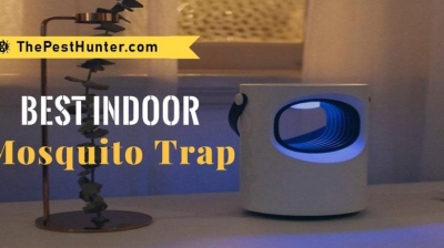 Best Indoor Mosquito Traps Reviewed in 2021 & Complete Buying Guide