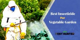 Best Insecticide For Vegetable Garden in 2021