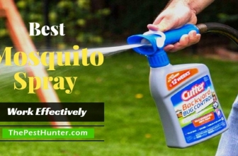 Best Mosquito Spray For 2021 & Ultimate Buying Guide