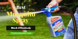 Best Mosquito Spray For 2021 & Ultimate Buying Guide