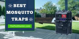 Best Mosquito Traps Reviews For 2021 & Which One Will You want to Buy?
