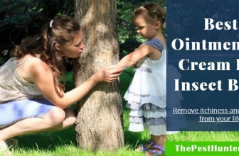6 Best Ointment or Cream For Insect Bites & Help to Relieve Insect Bites