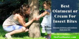 6 Best Ointment or Cream For Insect Bites & Help to Relieve Insect Bites