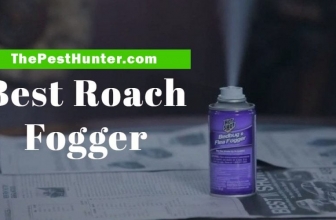 Best Roach Fogger Review [Updates on 2021] & Ultimate Buying Guide