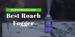 Best Roach Fogger Review [Updates on 2021] & Ultimate Buying Guide