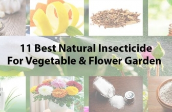 From Pests to Perfection: Discover the Ultimate Organic Insecticide for Your Vegetable and Flower Garden’s Triumph!