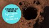 Termite: Causes of Termite Infestation and Prevention