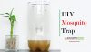 DIY Mosquito Trap That Excellent Work For Eliminating Mosquitoes