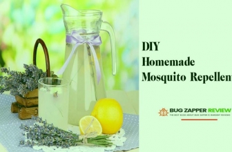 DIY Homemade Mosquito Repellent & Natural Mosquito Control Methods