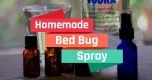 How to Make Homemade Bed Bug Spray For House
