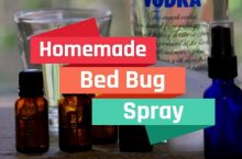 How to Make Homemade Bed Bug Spray For House