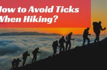 How to Avoid Ticks When Hiking?