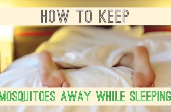 How to Keep Mosquitoes Away While Sleeping