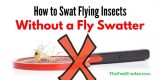 How to Swat Flying Insects Without a Fly Swatter