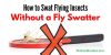 How to Swat Flying Insects Without a Fly Swatter
