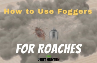 How to Use Foggers For Roaches & Details Guide