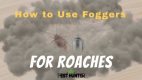 How to Use Foggers For Roaches & Details Guide