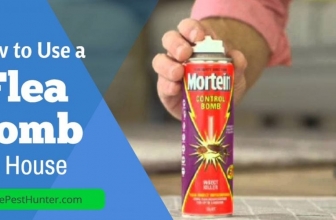 How Can You Use a Flea Bomb in Your House Properly and Safely