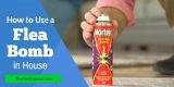 How Can You Use a Flea Bomb in Your House Properly and Safely