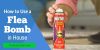 How Can You Use a Flea Bomb in Your House Properly and Safely
