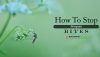 Mosquito Bite Defense: How to Prevent Mosquito Bites Using Simple Techniques