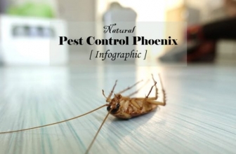 DIY Pest Control Infographic & The Pest Hunter