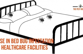 Rise in Bed Bug Infestation in Healthcare Facilities – A Matter of Concern