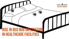 Rise in Bed Bug Infestation in Healthcare Facilities – A Matter of Concern