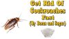 Roach Control with Borax: Effective Strategies for Pest Elimination